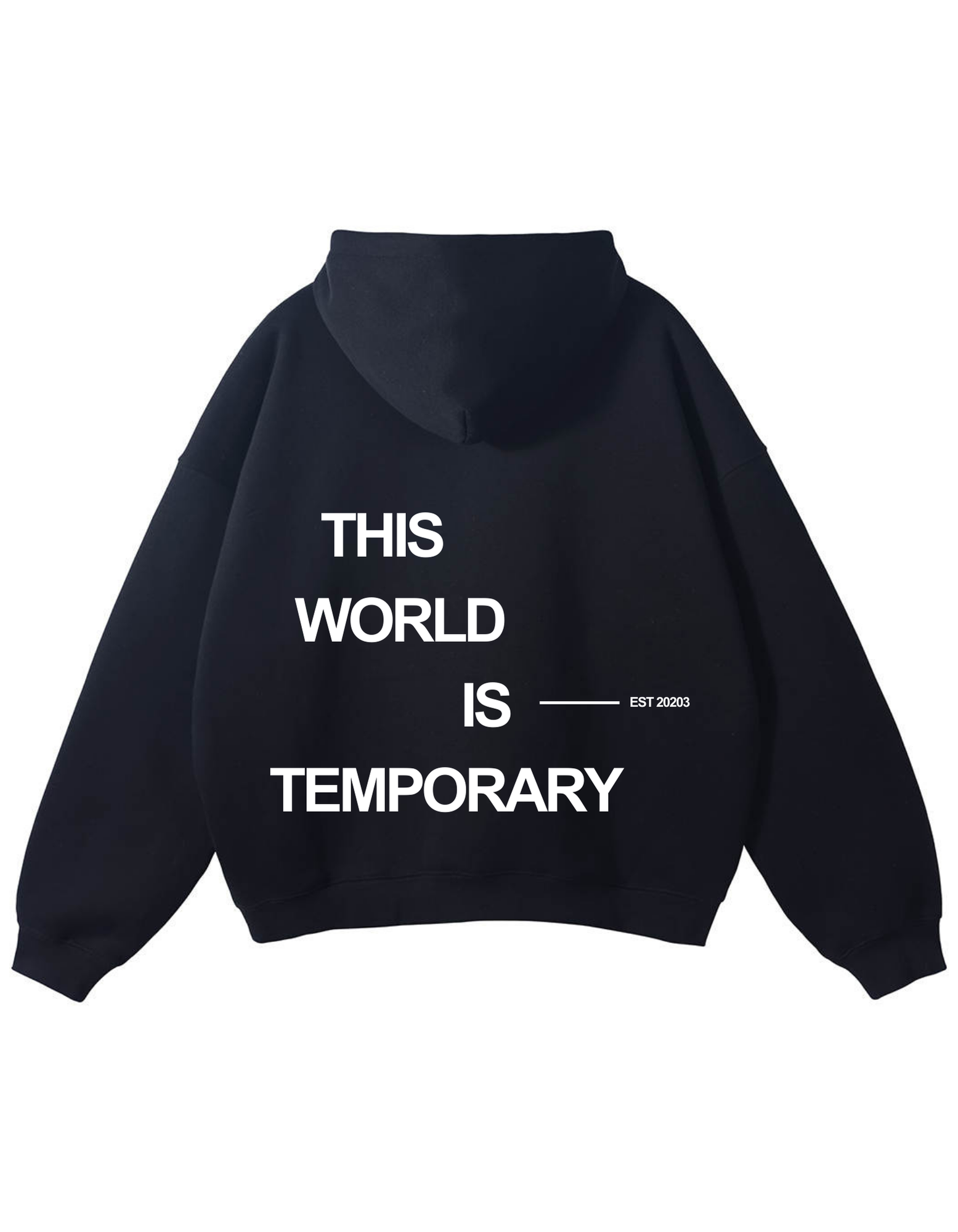 This World Is Temporary